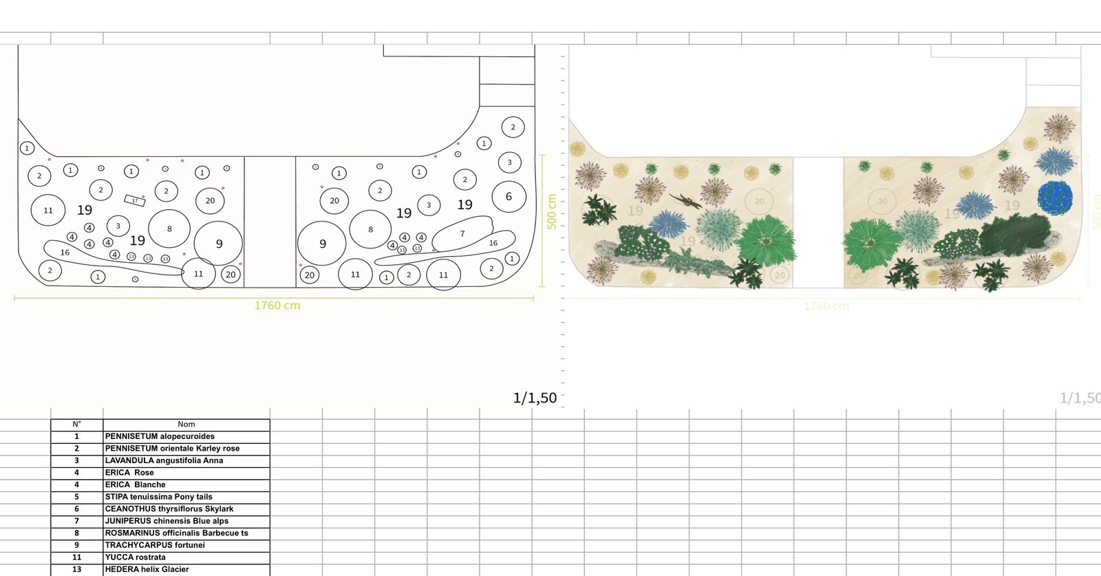 Plan technique et plan paysager de plantation